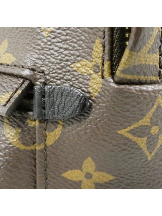 Louis Vuitton Monogram Palm Spring Backpack PM Sac main image 5